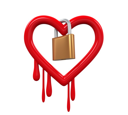 Heartbleed Key Logger