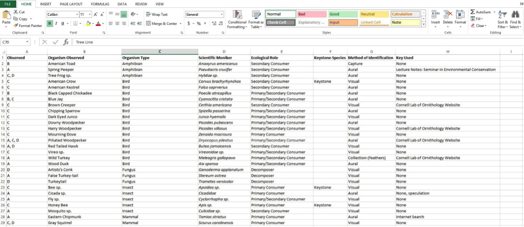 Microsoft Excel Support