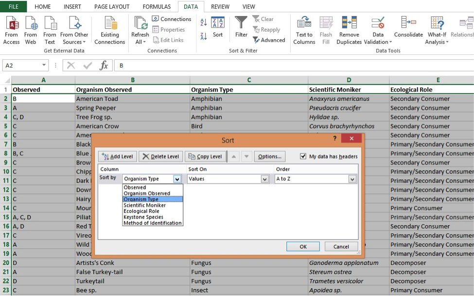 curve fitting in excel for mac