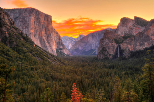 Yosemite MAC OS