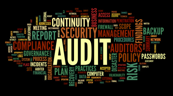 Network Security Audit