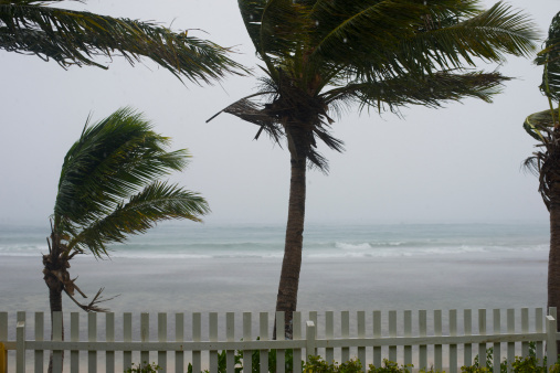 Tropical Storm Erika