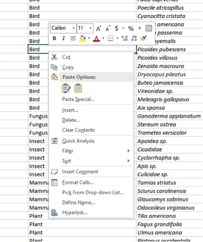 Support For Microsoft Excel