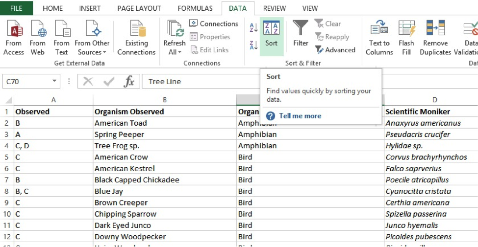 Microsoft Excel 2013 Consultant