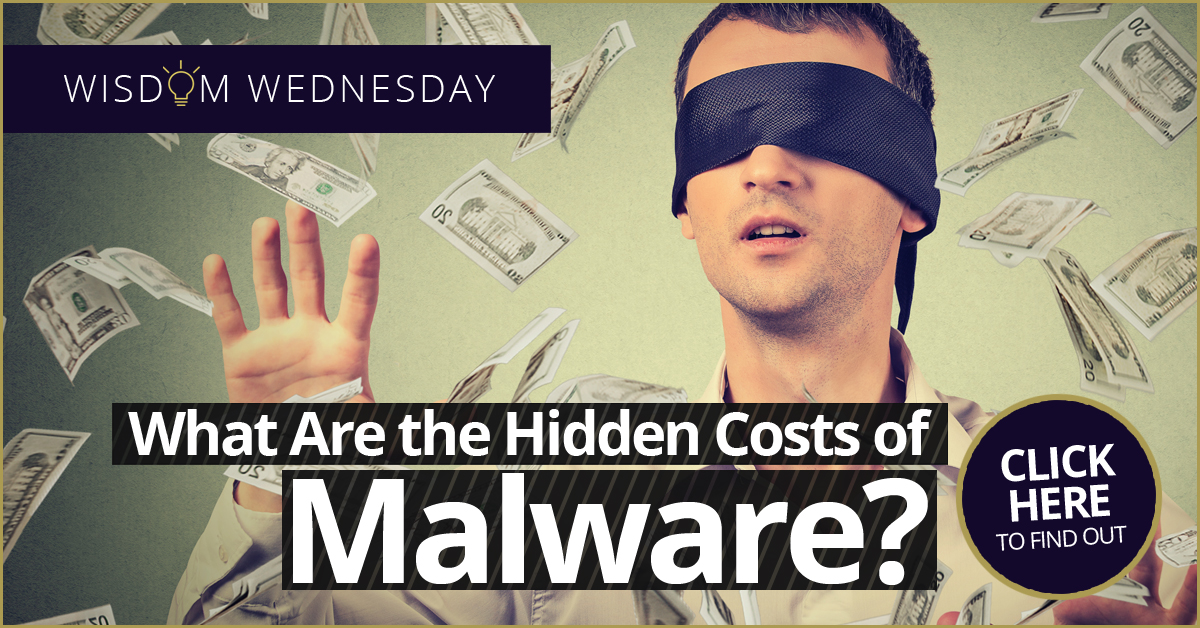 Hidden Costs of Malware