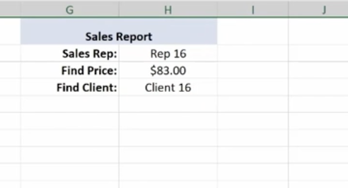 sales report on ms excel for client 16