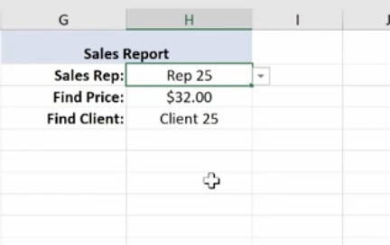 ms excel sales report for client 25